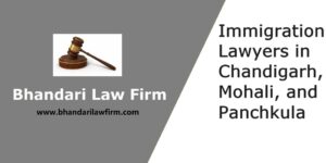 Immigration Lawyers in Chandigarh, Mohali, and Panchkula